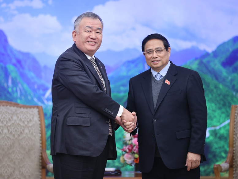 網無疑是個