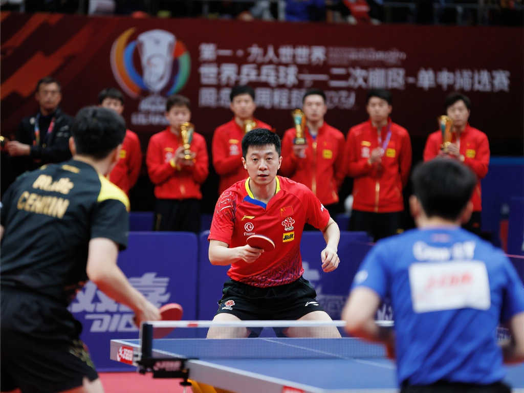 帕爾默